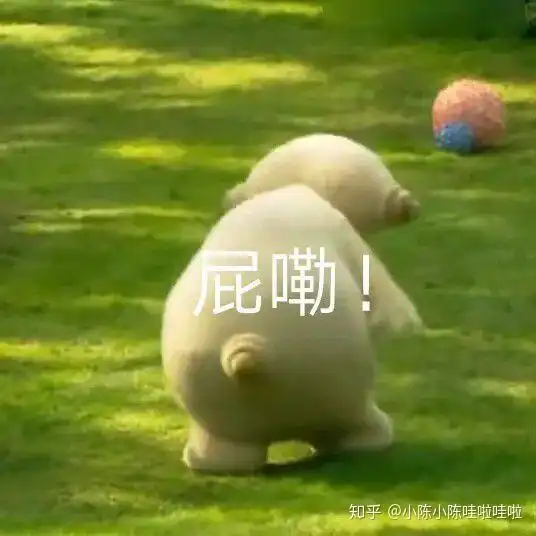  每个人都可以做练习生吗分享一下在练习生公司做艺人统筹的体验
