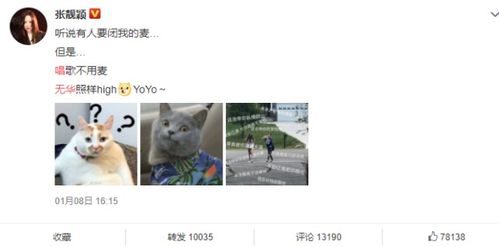  网友喊话张靓颖刘宇宁闭麦别唱,得知原因之后,原来大家都误会了