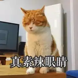  表情包丨萌猫表情包来袭
