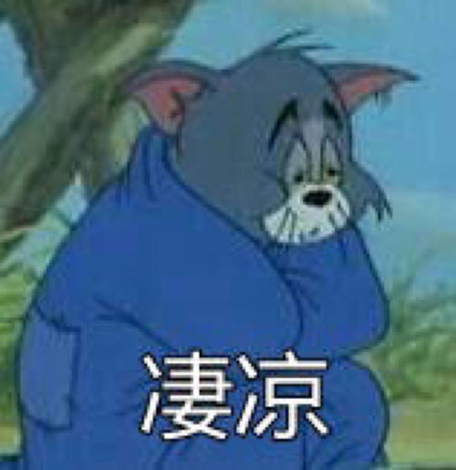  泉州人扛住比大雨更恐怖的来了