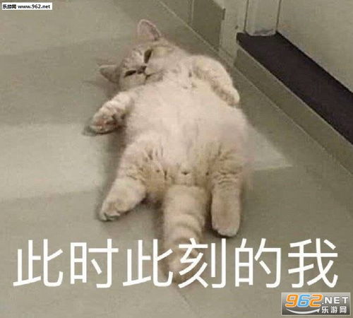  喜报表情包图片边吃边睡边想你表情包下载乐游网游戏下载