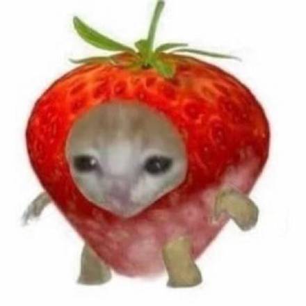  沙雕水果猫猫头表情包