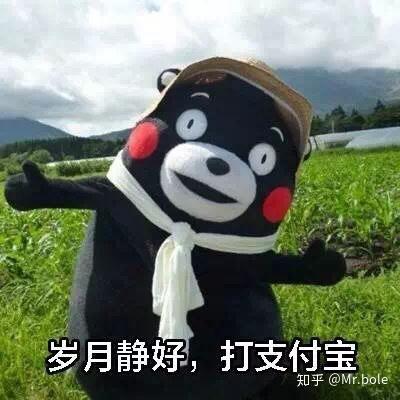  支付宝这个宝藏app,你一直都用错了