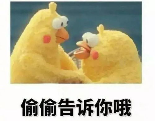  骑电动车别再任性了交警蜀黍要动真格的了