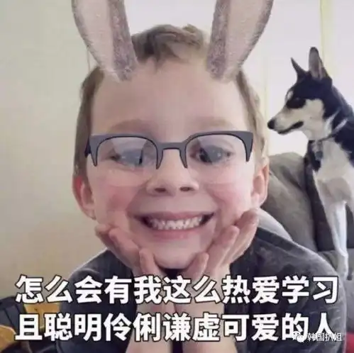  在韩国当网红必须要胖