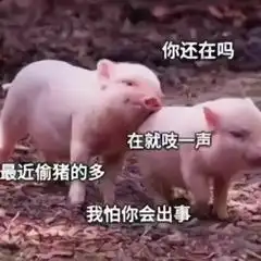  非常可爱的一组表情包真可爱啊,要是属于我就好喽