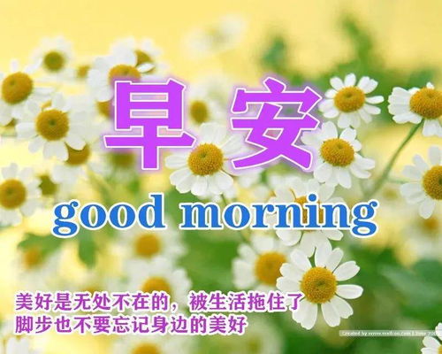  2021最贴心的早安问候祝福短信句子,暖心的早上好祝福语录图片唯美带字