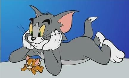  长大后的疑惑猫和老鼠中的汤姆到底是一只什么品种的猫