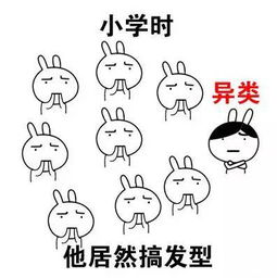  你是校园中的一股清流,大学中不一样的烟火