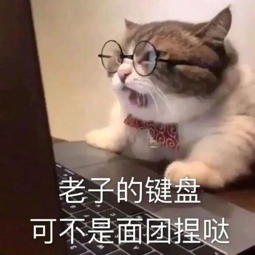  突然宣布落选离队再见了,东契奇人家真看不上3亿大合同