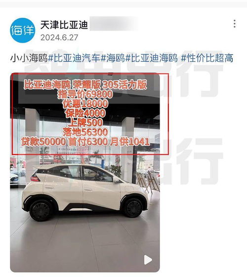  比亚迪销售2025款海鸥下周上市增360全景影像