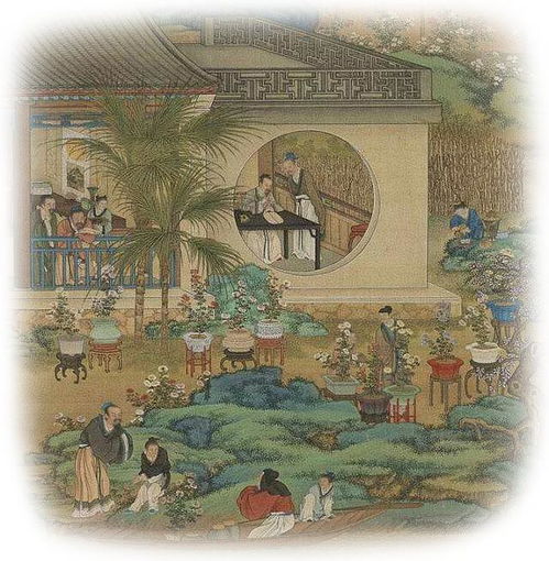  摆放绿植的风水讲究二