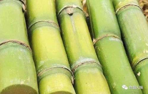  过年买水果,5种吉祥果不能忘,贵贱都要买,年味足,兔年大吉大利
