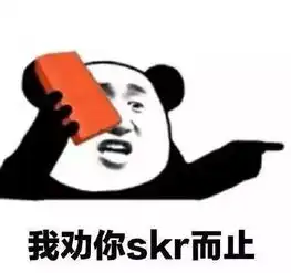 都在说skr,skr到底skr什么意思