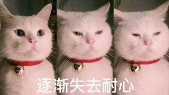  职场达人山不过来,我就过去
