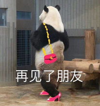  有些骑友,一加微信我们就想把他拉黑