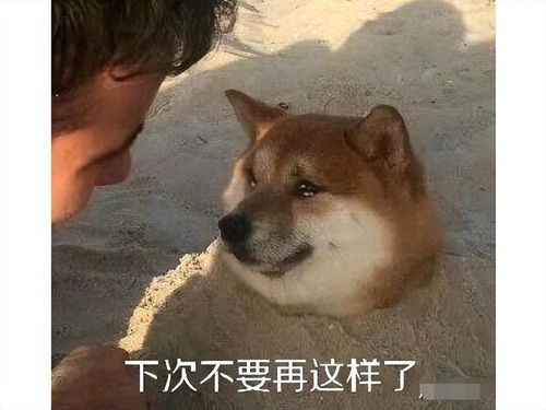  只有腾讯能搞定穿越火线新作上架一年就凉凉,微软也没辙