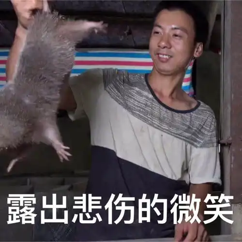  华农兄弟表情包