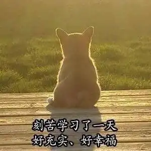  柴犬表情包全套柴犬doge表情包下载