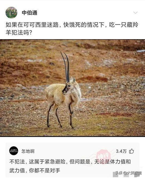  女孩子出门一定要注意装扮,瞧把大爷吓得哈哈哈眼睛都看直了