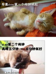  卷卷猫妹妈aacszcatpowereddiscuz
