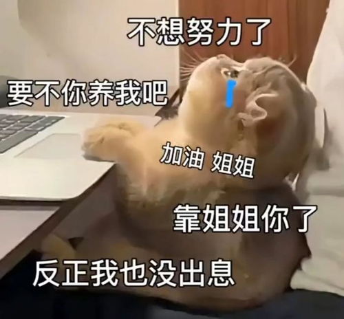  表情包叫你不听话打屁屁拿图点赞吱声