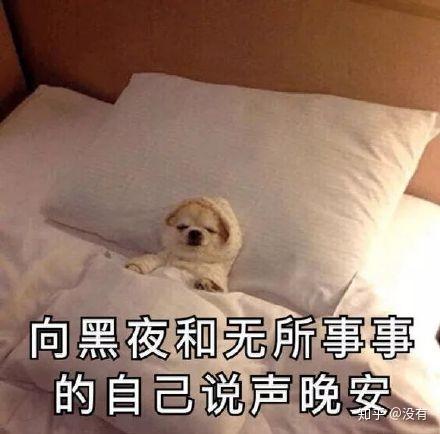 睡不着的图片表情包说晚
