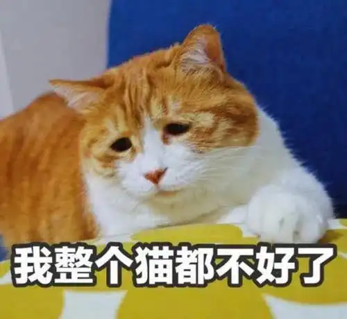  大学教师被免职,就因为频繁使用问号