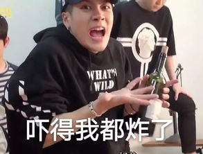  王嘉尔表情包大放送