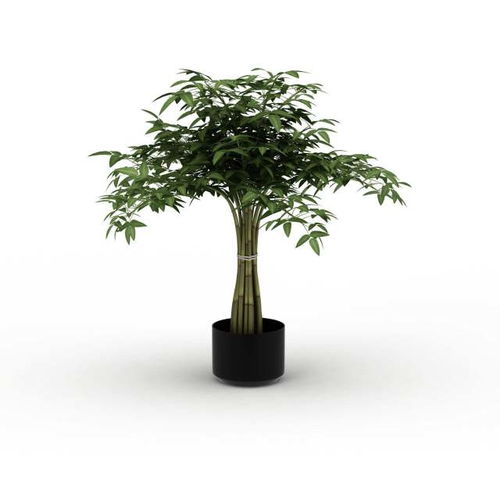  水量控不好,绿植活不长