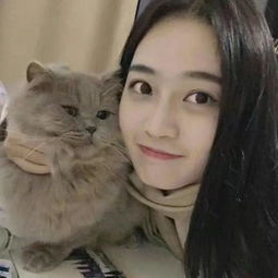  猫趣