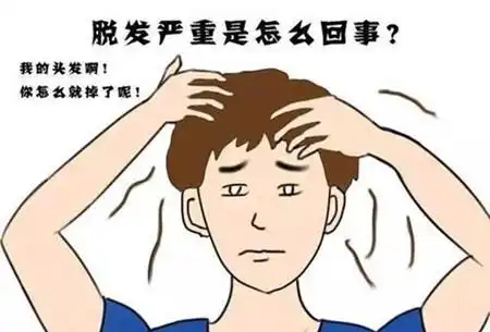  猝死不是当代年轻人担忧的问题,脱发才是