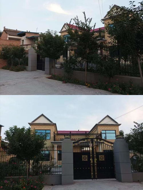  无标题