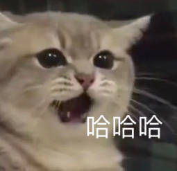  表情包哈哈哈啊我的快乐不见了你为什么不回我在线卑微骗子