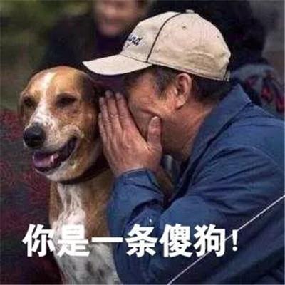  喜欢做t的就做做t练练技术,想去外面看看的找个涨停板出,到时候再回来,众