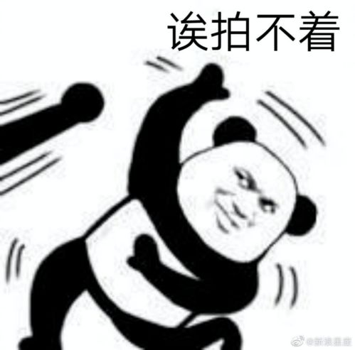  别拍了你拍到我脑花了