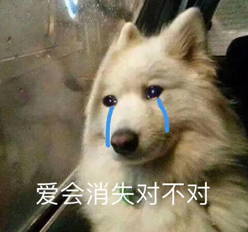  家庭私密监控画面流出,这结局是我没能想到的啊哈哈哈