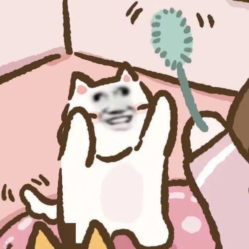  你见过这么沙雕的情侣头像吗