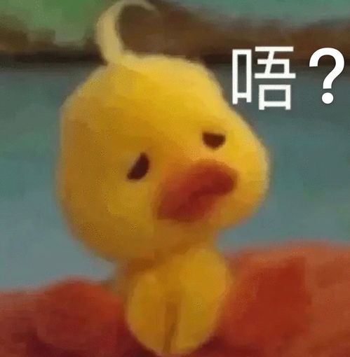  怎么避免让小孩子混粉圈