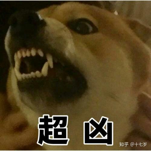 闭嘴老杂毛系列表情包