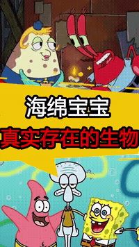  狮子卧槽,又吓老子一跳