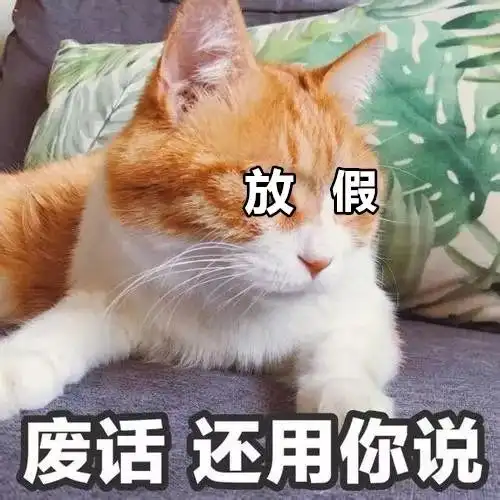  再上7天班,合肥人放假还有这个好消息你得知道