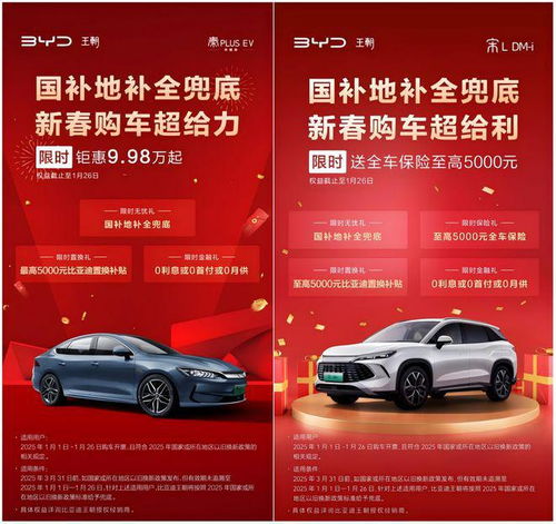 2025年1月,比亚迪宋lev多重豪礼等你来拿,轻松购车不是梦
