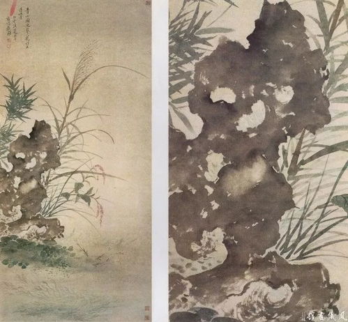  恽寿平235幅没骨花鸟画精品欣赏