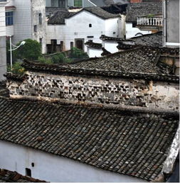  美得惊动国家建德这个村子要火了住在这里的人日子会越来越红火