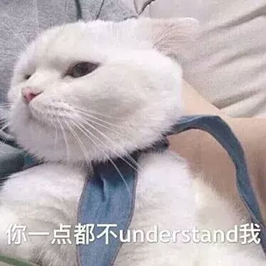 口袋空了没钱了表情包猫