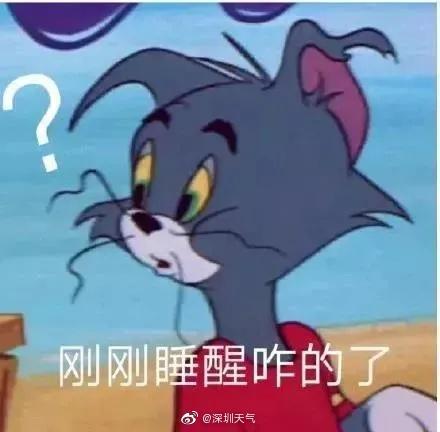 汤姆猫看报纸表情包倒刺