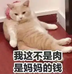  如何判断一只猫咪是真的爱你还是只为混口饭吃