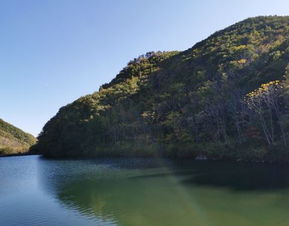  2019天桥沟森林公园门票,宽甸天桥沟森林公园游玩攻略,天桥沟森林公园游览攻略路线地址门票价格