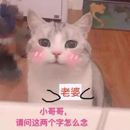 摸头表情包猫萌猫